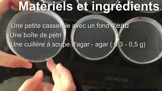 Réaliser le milieu nutritif gélose pour élever votre Blob  Apprendre à Apprendre avec un Blob [upl. by Aihsekram246]