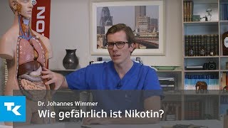 Wie gefährlich ist Rauchen  Dr Johannes Wimmer [upl. by Jarita206]