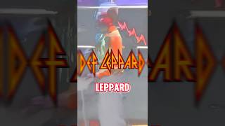 Def Leppard Premieres On MTV [upl. by Hiasi]