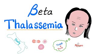 Beta Thalassemia  Causes and Types  minor Major amp Intermedia  Hematology [upl. by Ynner]