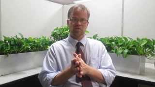 Plant Breeding GMO Cross Pollination amp Cross Breeding Explained [upl. by Sillyhp]