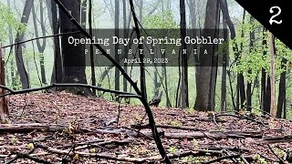 I found a LOUDMOUTH GOBBLER  Opening Morning PA Spring Gobbler 2023 [upl. by Schell]