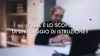 I viaggi di istruzione al Da Vinci [upl. by Annauqahs]