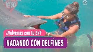 ¿Volverías con tu Ex  Nadando con delfines  Capítulo 104 [upl. by Card]