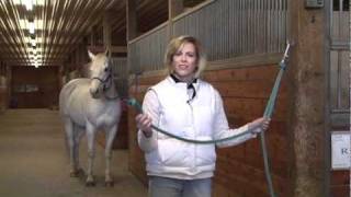 The Clip and Tether Ring  Tying Your Horse Safely [upl. by Bass417]