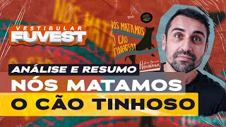 Vestibular FUVEST  Análise e resumo de NÓS MATAMOS O CÃO TINHOSO [upl. by Luana]