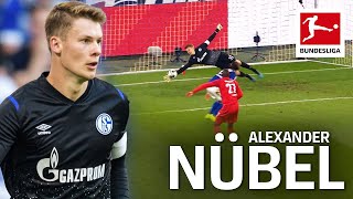 Alexander Nübel  Top 5 Saves 201920 [upl. by Aivata762]