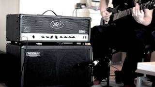 Peavey 6505  Playthrough [upl. by Hoi883]