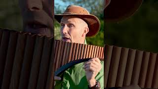 Wayfaring Stranger  David Döring  Pan flute  Panflöte  Flauta de Pan shorts panflute music [upl. by Abehshtab752]