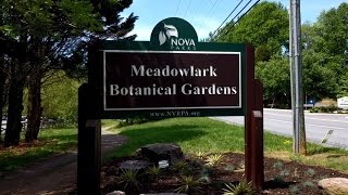 Visiting Meadowlark Botanical Gardens in Vienna Virginia [upl. by Schulein]