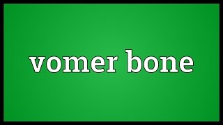 Vomer bone Meaning [upl. by Atenik]