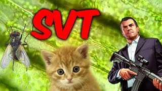 SVT Explications  La Diversité Génétique et le Toxoplasma Gondii [upl. by Burtis]