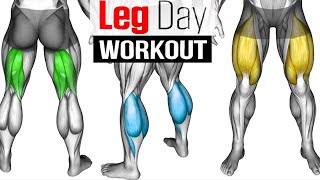 Full LEG Muscle Transformation 8 Best Exercises [upl. by Neehcas]