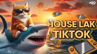 HOUSE LAK TIKTOK 4🎧NHẠC REMIX TIKTOK 2024🎧MIXTAPE DEEP HOUSE VIET DEEP HOUSE LAK [upl. by Lovel]