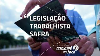 Cooxupé em Foco  Legislação Trabalhista Safra [upl. by Gereron]