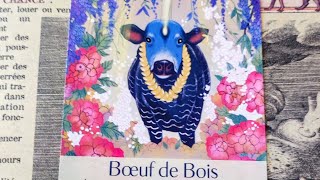 almanach de sorcières tirage du signe du jour le boeuf ♥️💗❤️ [upl. by Leksehc]