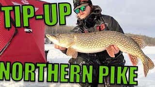 Ice Fishing for Northern Pike  TipUp Fishing [upl. by Artemisia983]