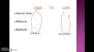 UMN vs LMN lesion made easy [upl. by Zerdna]