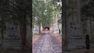 A hidden shrine in the mountains japan shrine [upl. by Portwine]