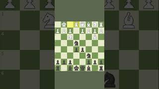 Accelerated Dragon A Dynamic Opening Repertoire chessgame checkmate chessgamer [upl. by Ahsekad]