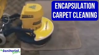 Encapsulation Carpet Cleaning [upl. by Rogerson]