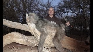 Baboon Vs Arrow in Africa bowhunting primates in South Africa with Archery POV [upl. by Thera]