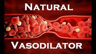 14 Natural Vasodilators  Nitric Oxide ED Cure [upl. by Adnorahs14]