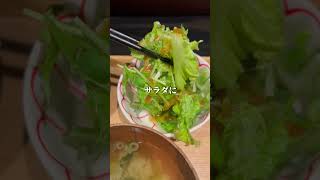 大阪阿倍野【千円以下のローストビーフ丼定食】 [upl. by Alegnasor897]