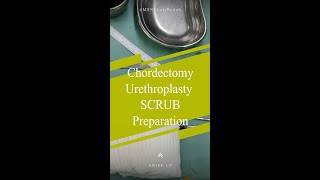 Persiapan Scrub Nurse Chordectomy Urethroplasty [upl. by Hasila313]