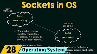 Sockets in Operating System [upl. by Hteboj]