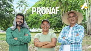 Programa Nacional de Fortalecimento da Agricultura Familiar  PRONAF [upl. by Ahtnammas]