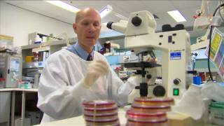 Day in the Life  Microbiology  Virology  Prof Bill Rawlinson [upl. by Xeno421]