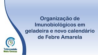 Organização de Imunobiológicos em geladeira e novo calendário de Febre Amarela [upl. by Stanislaus67]