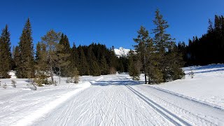 Langlauf in Seefeld Tirol I Crosscountry skiing in Seefeld Tyrol [upl. by Janus]