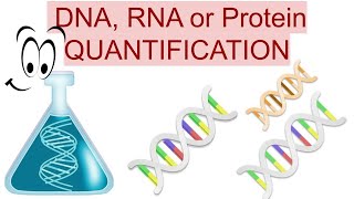 🧪 MEASUREMENT OF DNA RNA OR PROTEIN CONCENTRATION  SPECTROPHOTOMETER VS FLUORESCENCEBASED METHOD [upl. by Iaoh]