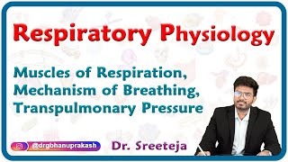 Muscles of respiration Mechanism of breathing Transpulmonary pressure  Physiology USMLE Step 1 [upl. by Daphie580]