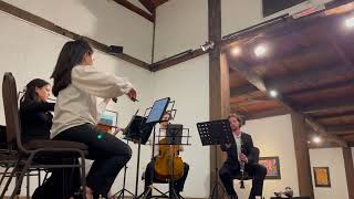 Jes Broeren amp Alari Quartet  Montsalvat Concert Part 2 Bruce Gumboots [upl. by Lledor]