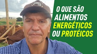 o que são Alimentos energéticos e alimentos proteicos [upl. by Ware]