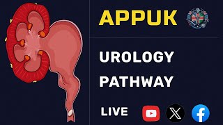 Surgery and Urology in the UK [upl. by Surbeck]