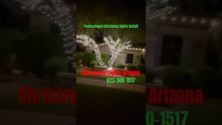 Professional christmas lights install christmaslights christmas [upl. by Grati727]