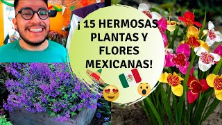 15 Flores y plantas originarias de México  Plantas mexicanas y sus nombres [upl. by Thaddus]