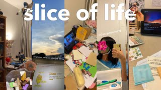 o’level study vlog 📂🎧 cca farewell studying for prelims pretty skies self care walks [upl. by Sissie]