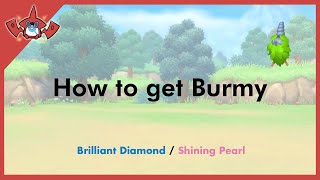 How to get Burmy in Pokemon Brilliant Diamond amp Shining Pearl 412 [upl. by Annala79]