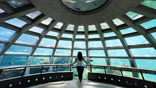 Inside Seattles LARGEST Aquarium amp Underwater Dome  Tour [upl. by Orabel]