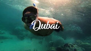 SNORKELING IN DUBAI  Jumeirah Beach [upl. by Ossie]