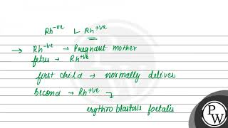 Explain the initiation of muscle contraction What is the role of sarcoplasmic reticulum myosin [upl. by Enyalahs92]