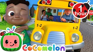 Wheels on the Bus 🚌 CoComelon  Its Cody Time  Nursery Rhymes and Kids Songs  After School Club [upl. by Sams]