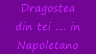 IN NAPOLETANO quotDragostea din teiquot [upl. by Singh670]