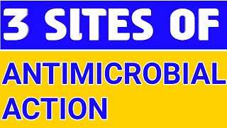 SITES OF ANTIMICROBIAL ACTION pharmacology pharmacy nursing doctor [upl. by Ahsekim452]