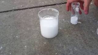 Citric acid  baking soda  water reaction [upl. by Koblick320]